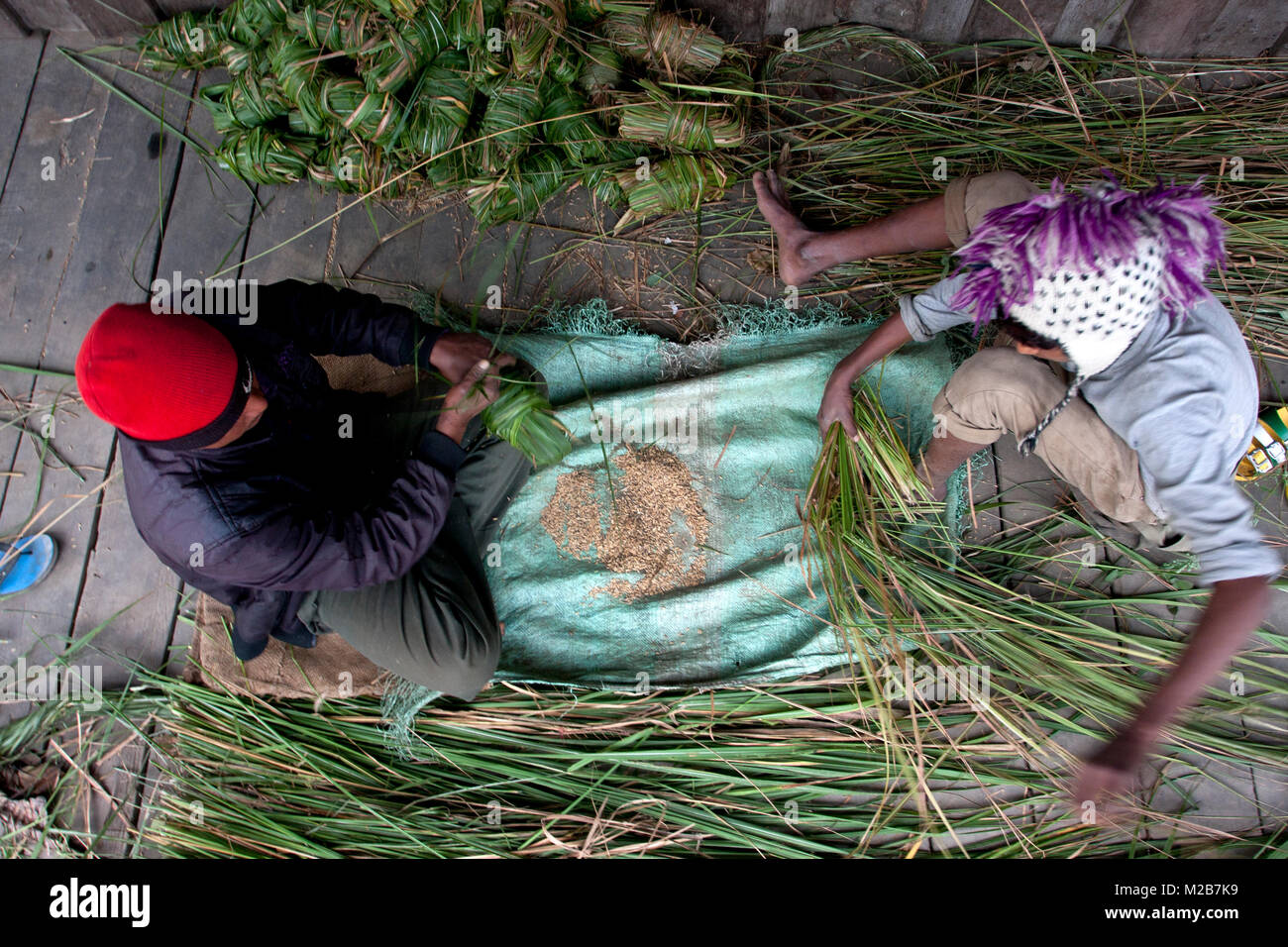 Männer bereiten Futter für die Elefanten in Kathmandu und Chitwan in Nepal. Stockfoto