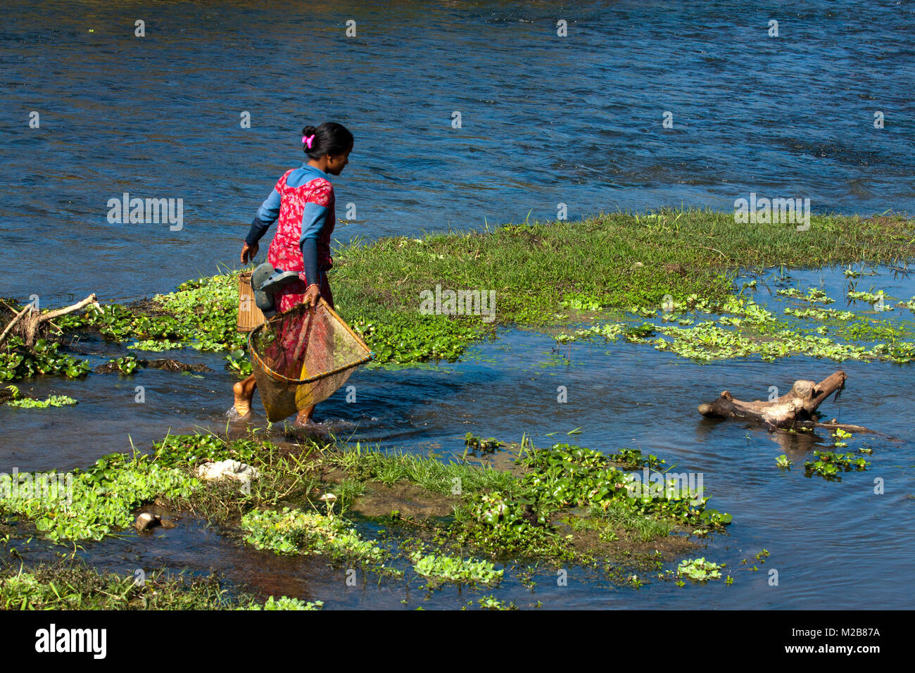 Frauen, die Tharu die Fischereitätigkeit der Gemeinschaft in der rapti River in Kathmandu, Chitwan, Nepal. Kathmandu ist eines der beliebtesten Urlaubsländer. Stockfoto