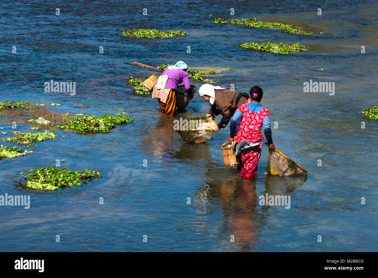 Frauen, die Tharu die Fischereitätigkeit der Gemeinschaft in der rapti River in Kathmandu, Chitwan, Nepal. Kathmandu ist eines der beliebtesten Urlaubsländer. Stockfoto