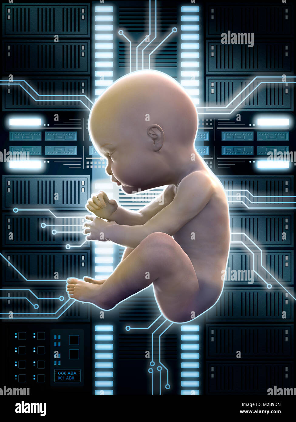 Menschlichen Fötus mit einem Computer verbunden ist. Digitale Illustration. Stockfoto