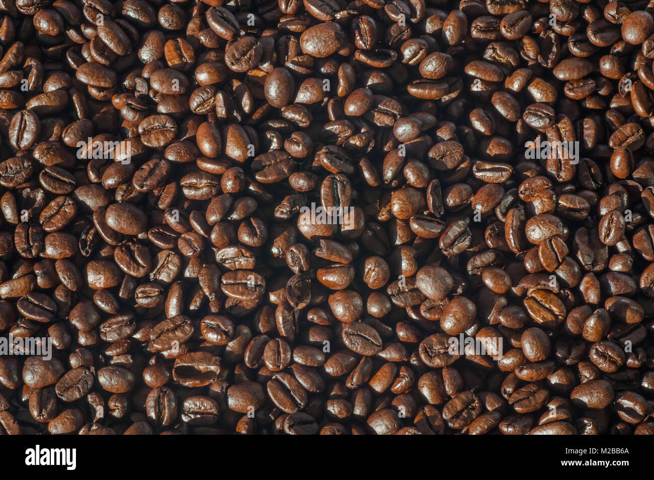 Geröstete Kaffeebohnen als Hintergrund Kopie Raum. Stockfoto