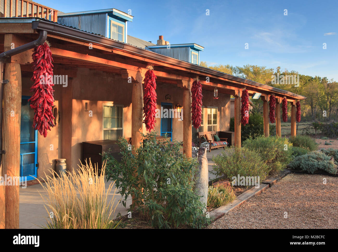 Getrocknete Chilischoten oder Ristras, Casa Escondida, Chimayo, New Mexico Stockfoto