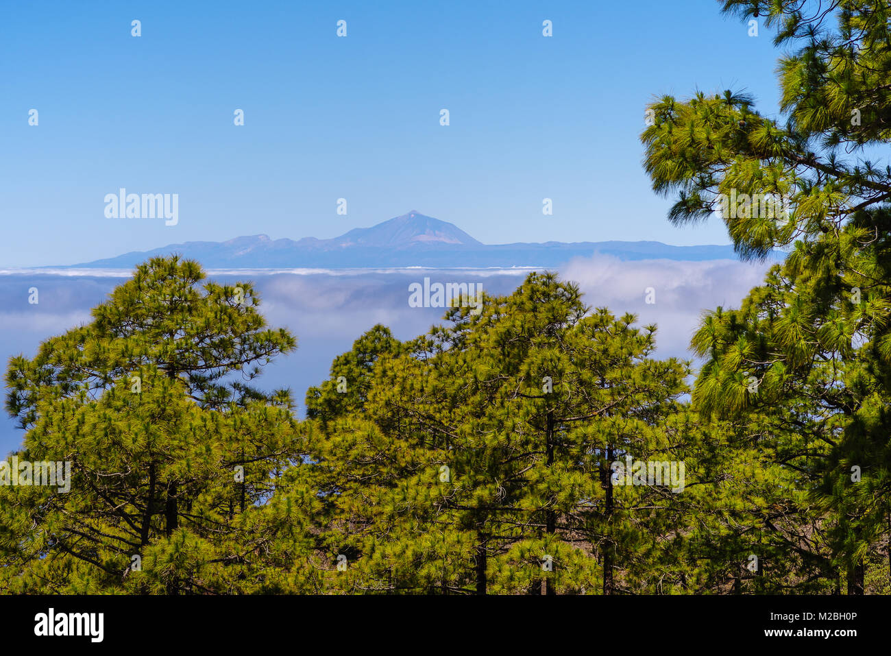 Blick von der Tamadaba Wald auf Gran Canaria auf den Pico de Teide auf Teneriffa Stockfoto