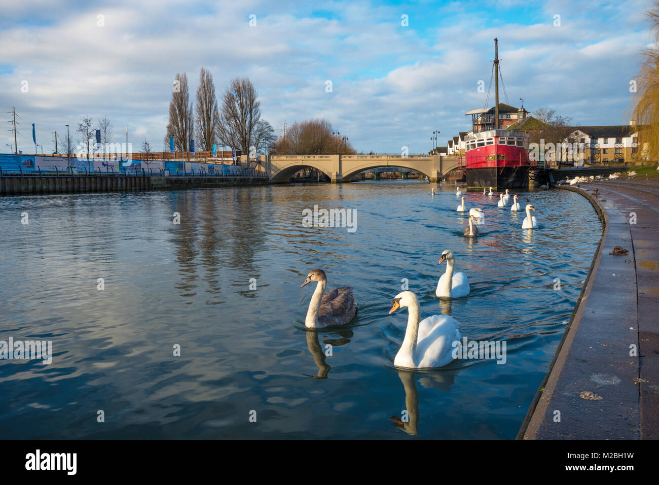 Fluss Nene, Peterborough, Cambridgeshire. Großbritannien Stockfoto