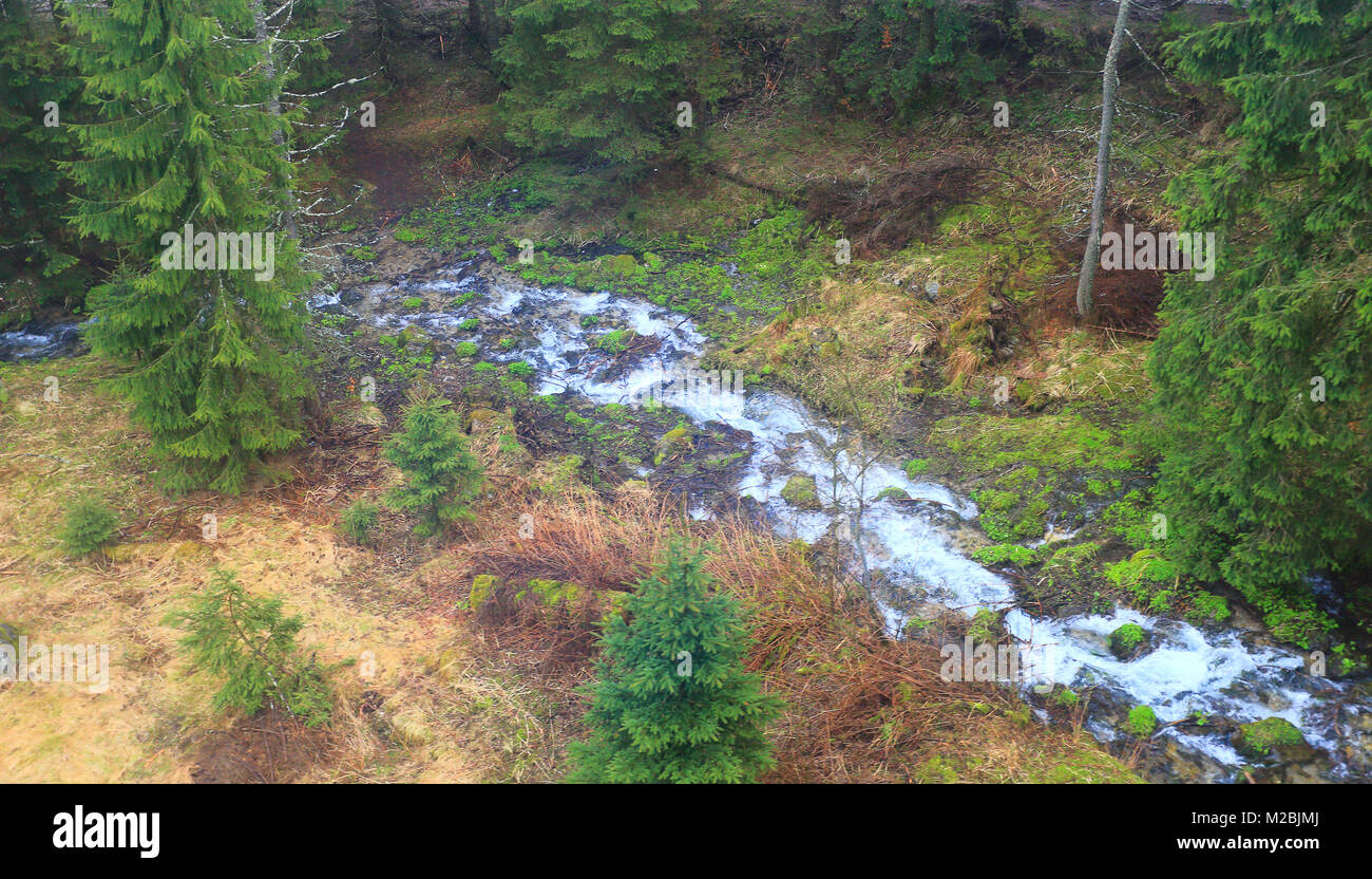 Berg сreek von oben. Luftbild bei Mountain River im grünen Wald. Stockfoto