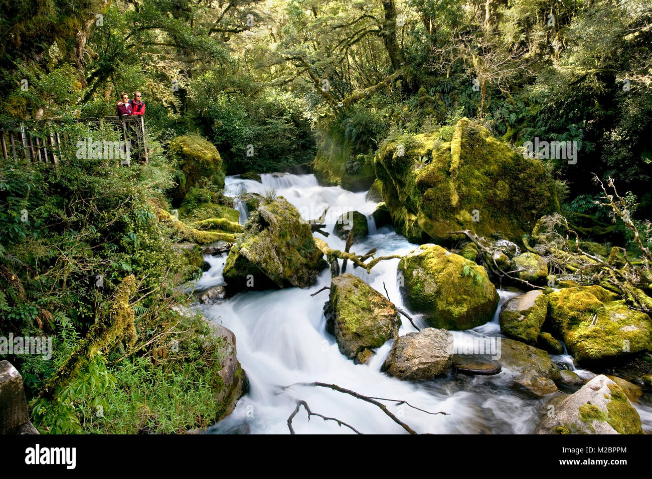 Neuseeland, Südinsel, Fiordland National Park. In der Nähe von Te Anau. Hollyford Track. Paar an Stream suchen. Unesco-Weltkulturerbe. Stockfoto