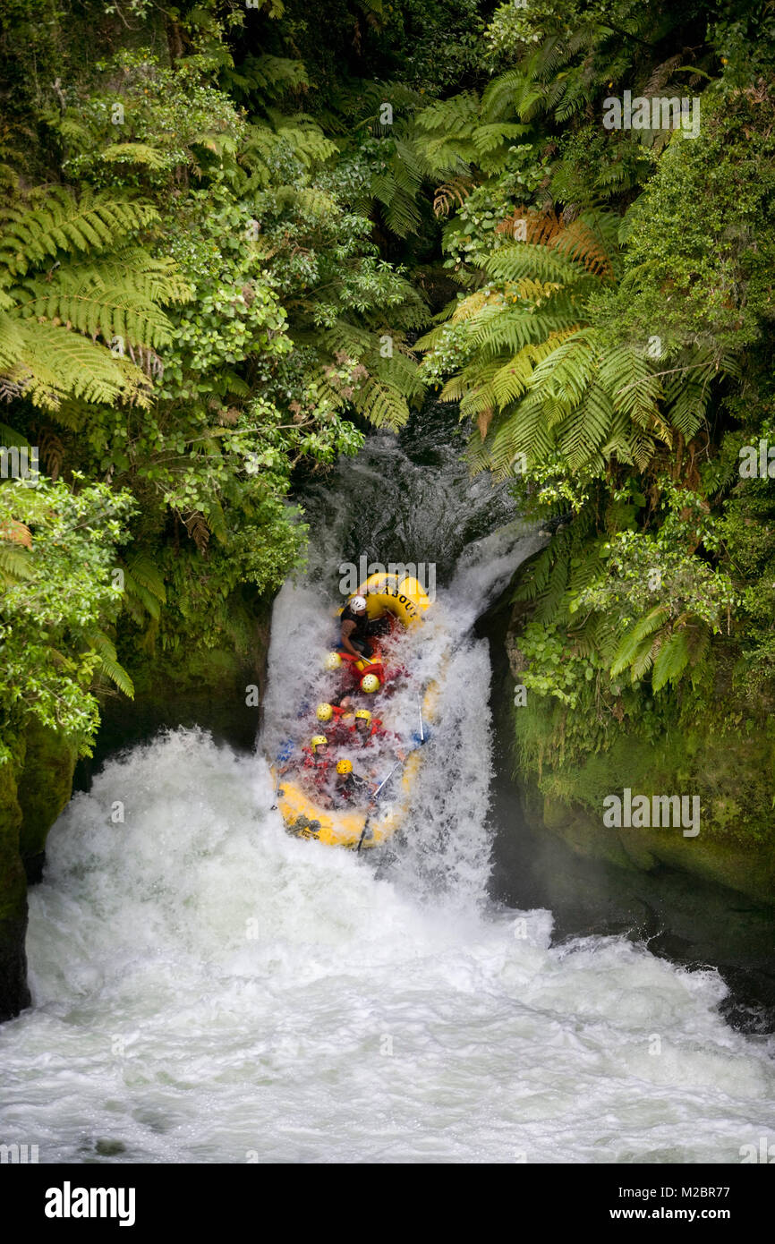 Neuseeland, Nordinsel, Rotorua, Rafting auf dem Fluss Kaituna. Die 3 Meter drop bei Okere fällt. Stockfoto
