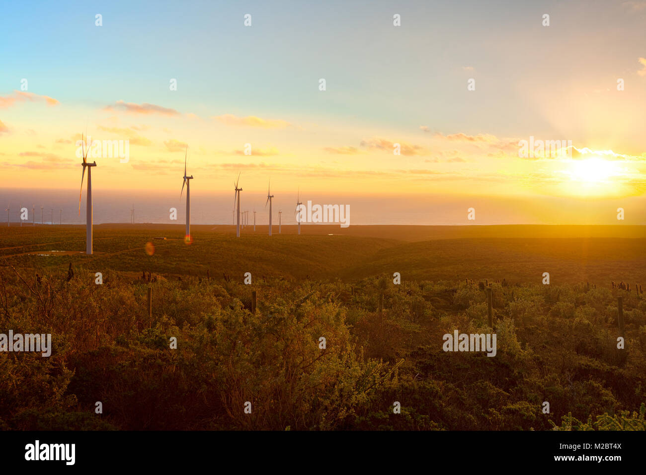 Windmühlen am Windpark, Coquimbo Region, Chile Stockfoto