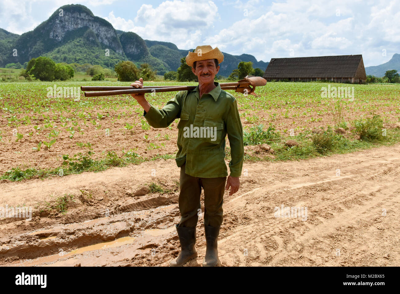 Vinales Tal, Pinar Del Rio, Kuba Stockfoto