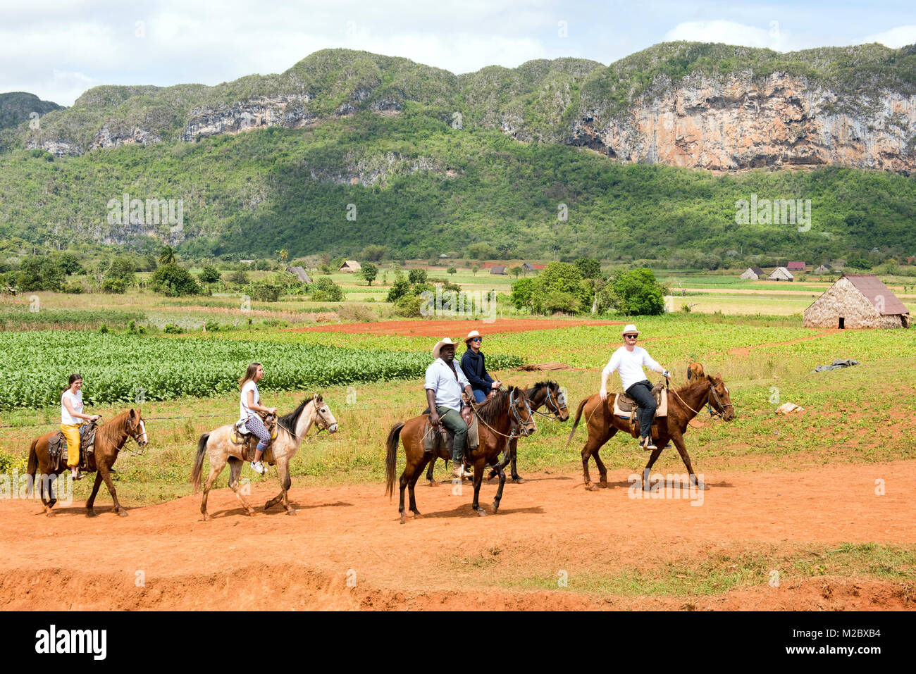 Touristen und ihre Führer Reiten im Tal von Vinales Pinar del Rio, Kuba Stockfoto