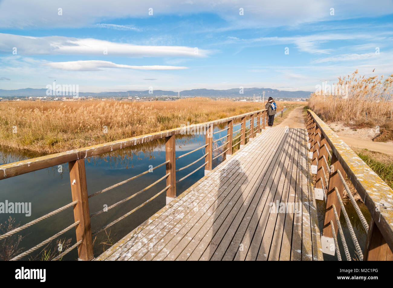 Holzbrücke für Fußgänger und eine Frau, die Beobachtung der Tierwelt mit Fernglas, Ebro Delta, Katalonien, Spanien Stockfoto