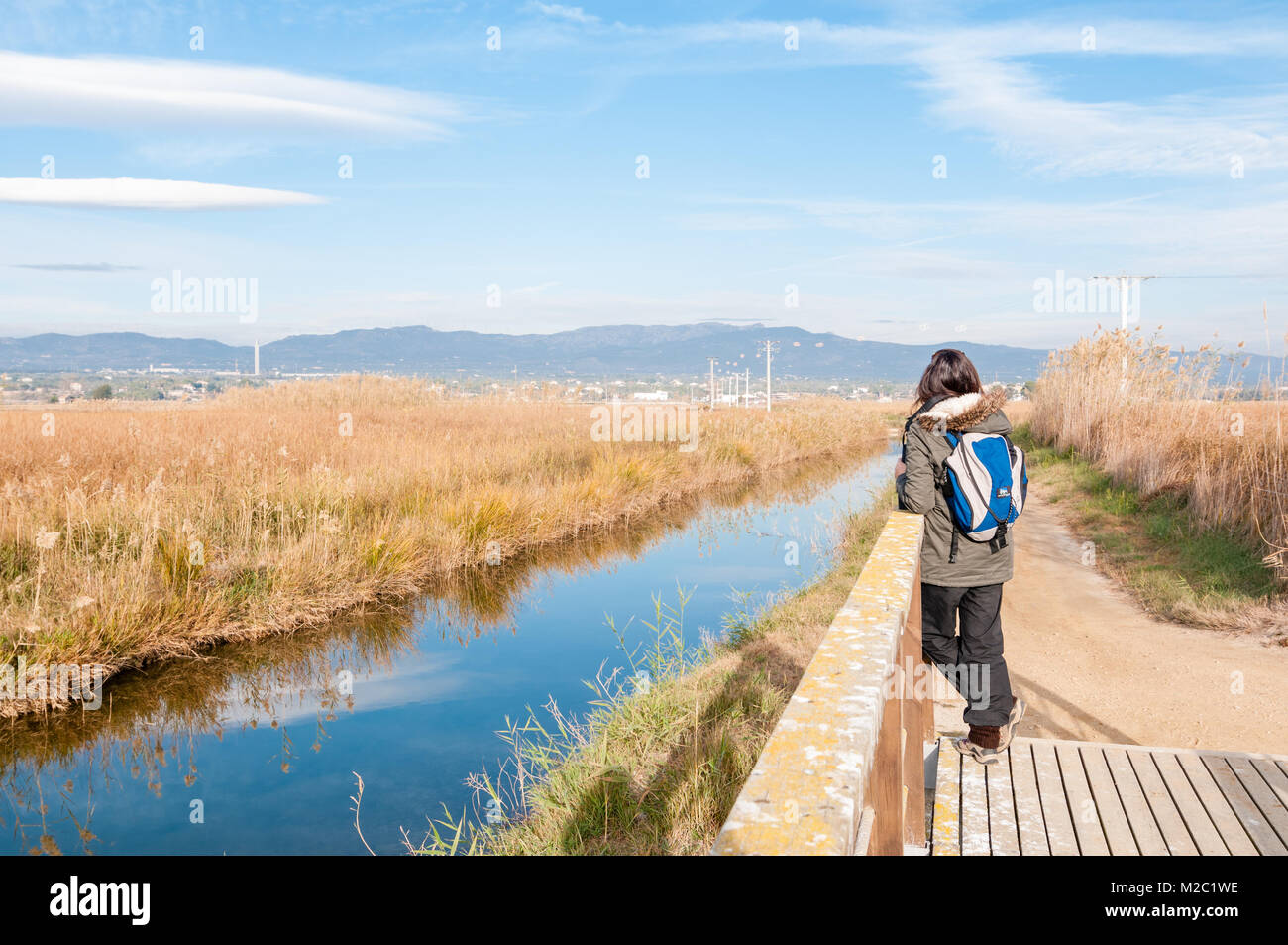 Holzbrücke für Fußgänger und eine Frau, die Beobachtung der Tierwelt mit Fernglas, Ebro Delta, Katalonien, Spanien Stockfoto