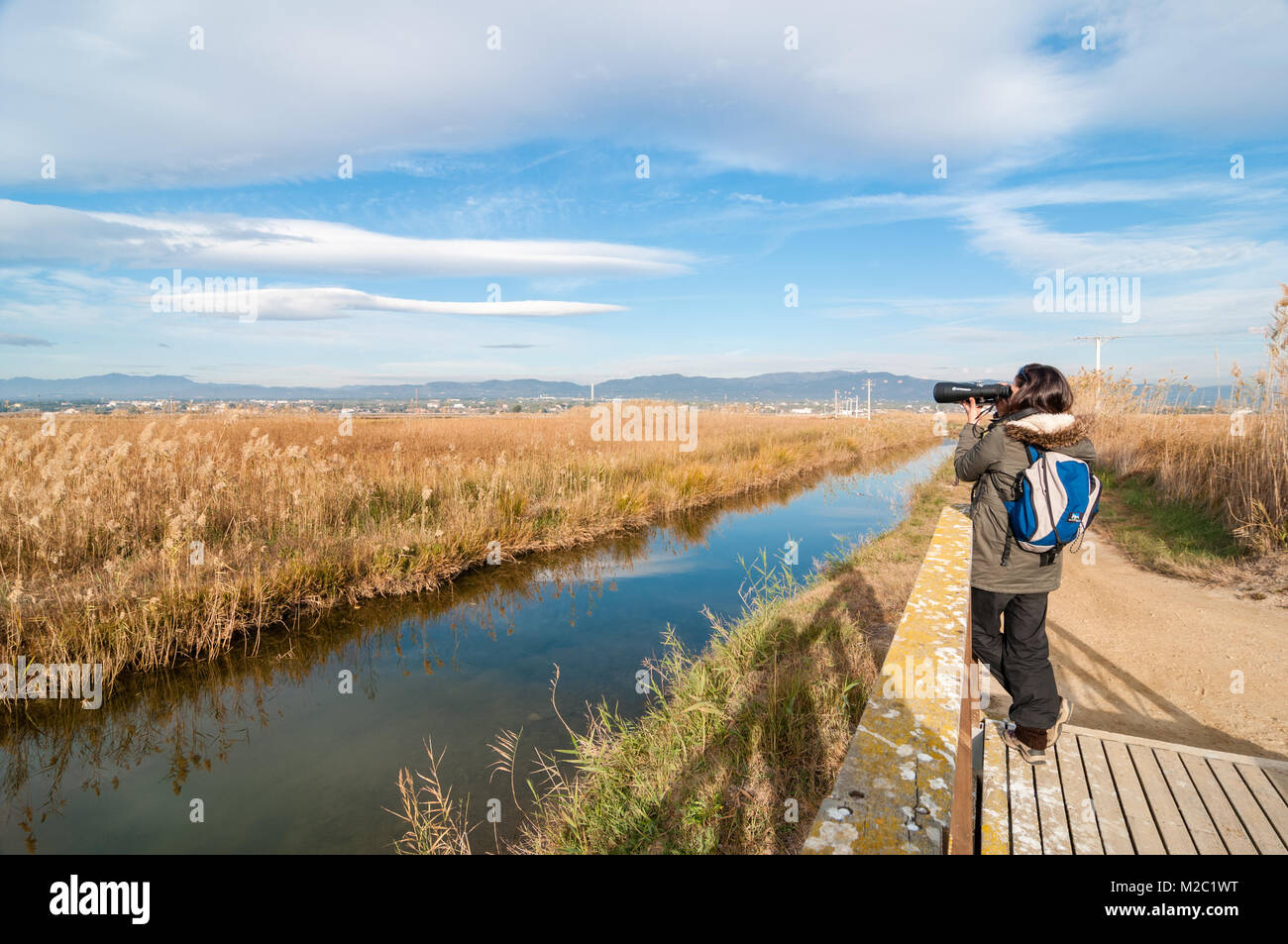 Holzbrücke für Fußgänger und eine Frau, die Beobachtung der Tierwelt mit Fernglas, Ebro Delta, Katalonien, Spanien Stockfoto