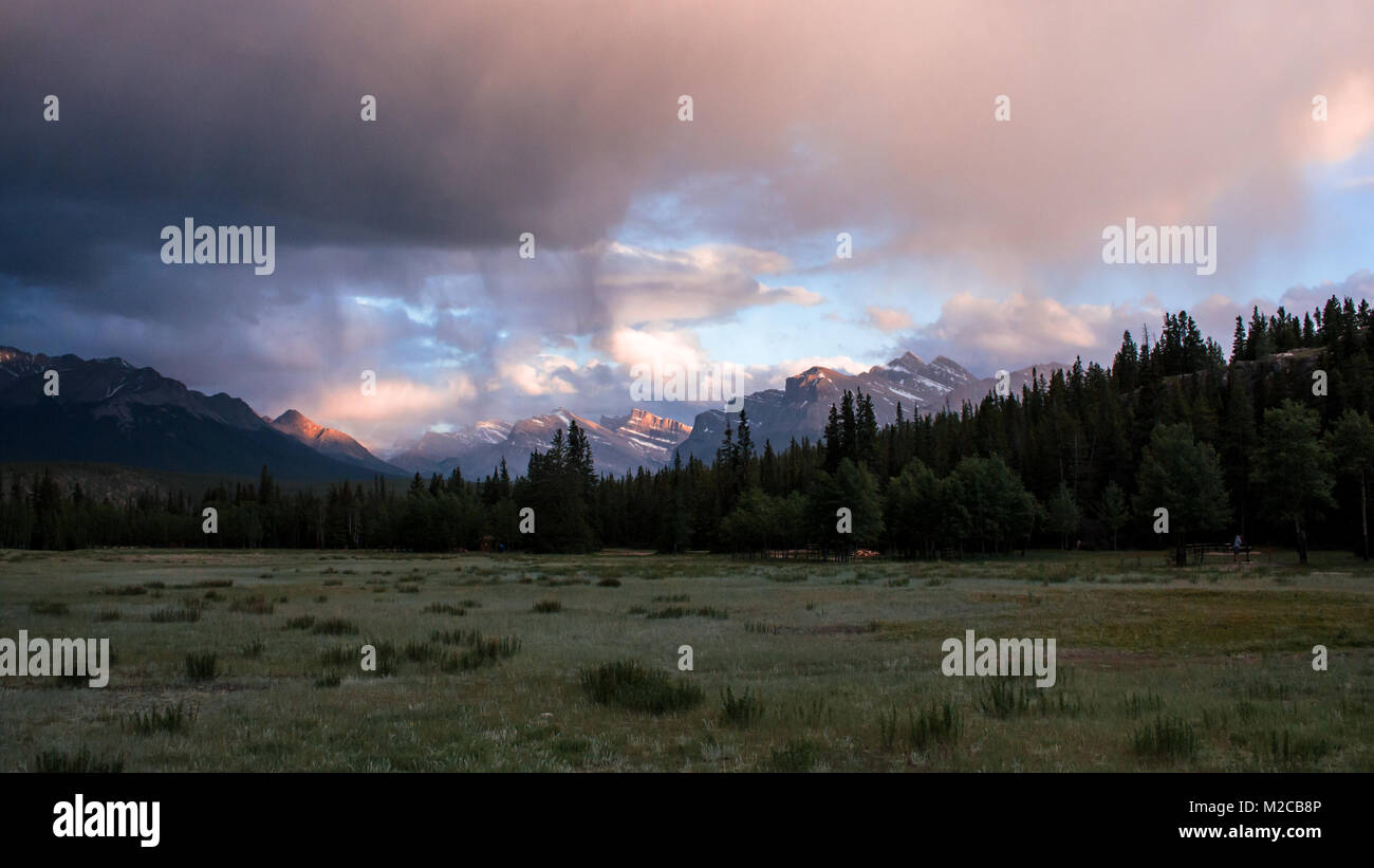 Blick auf die Berge von der Kootenay Plains in Alberta, Kanada Stockfoto