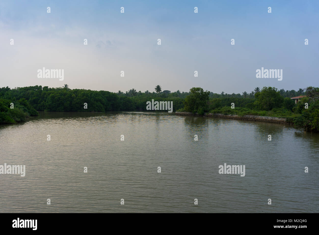 Rekawa Lagoon, Tangalle an der Südküste von Sri Lanka, Asien Stockfoto