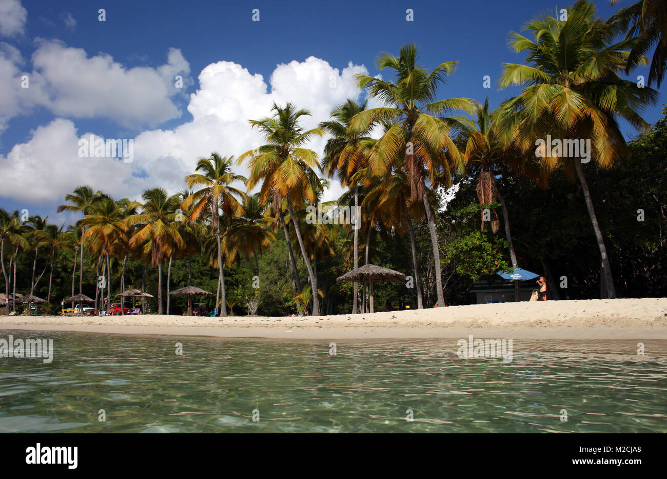 Honeymoon Beach auf dem Wasser Insel vor der Küste von St. Thomas, U.S. Virgin Islands, ist mit Palmen und klare flache Wasser gesäumt. Stockfoto