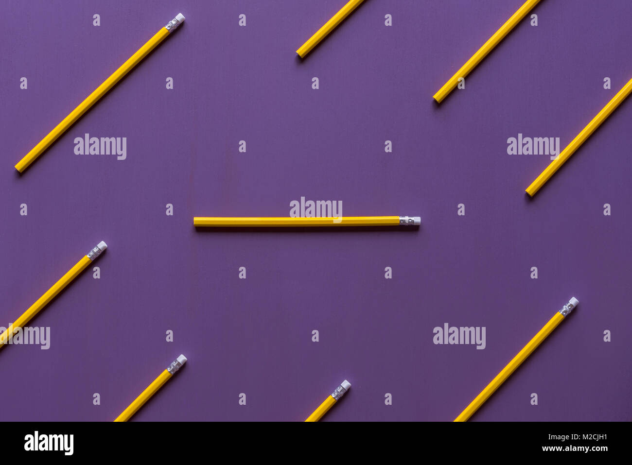 Holz- Bleistifte mit Radiergummi Oberseiten parallel angeordnet und nur eine Horizontal, aus dem Zusammenhang gerissen, mit Platz für Text, auf einem violetten Hintergrund. Stockfoto