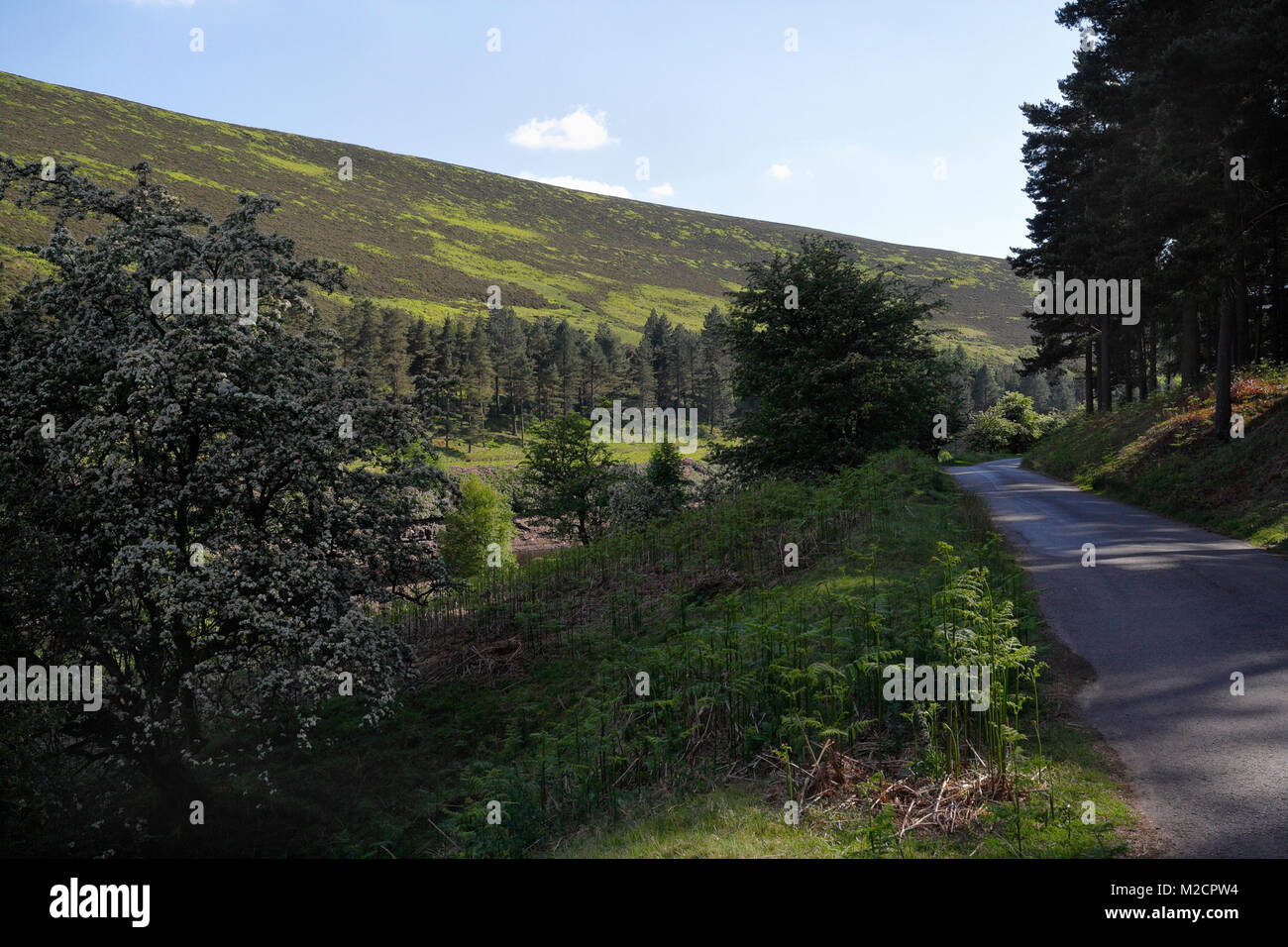Straße entlang Derwent Stausee in Derbyshire Peak Bezirk, England Großbritannien, Hochland Wald bewaldeten Tal Stockfoto
