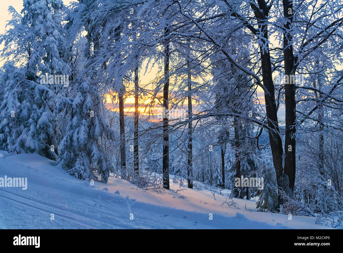 Winter Berge Landschaft. Malerischer Blick auf Sonnenuntergang im Wald, schneebedeckte Bäume, Sonnenlicht ist im Schnee reflektiert. Stockfoto