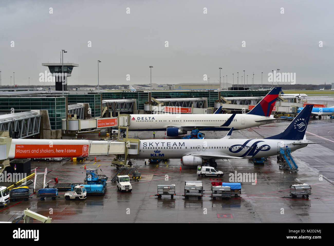SkyTeam, KLM Royal Dutch Airlines in Amsterdam Schipol Airport Stockfoto