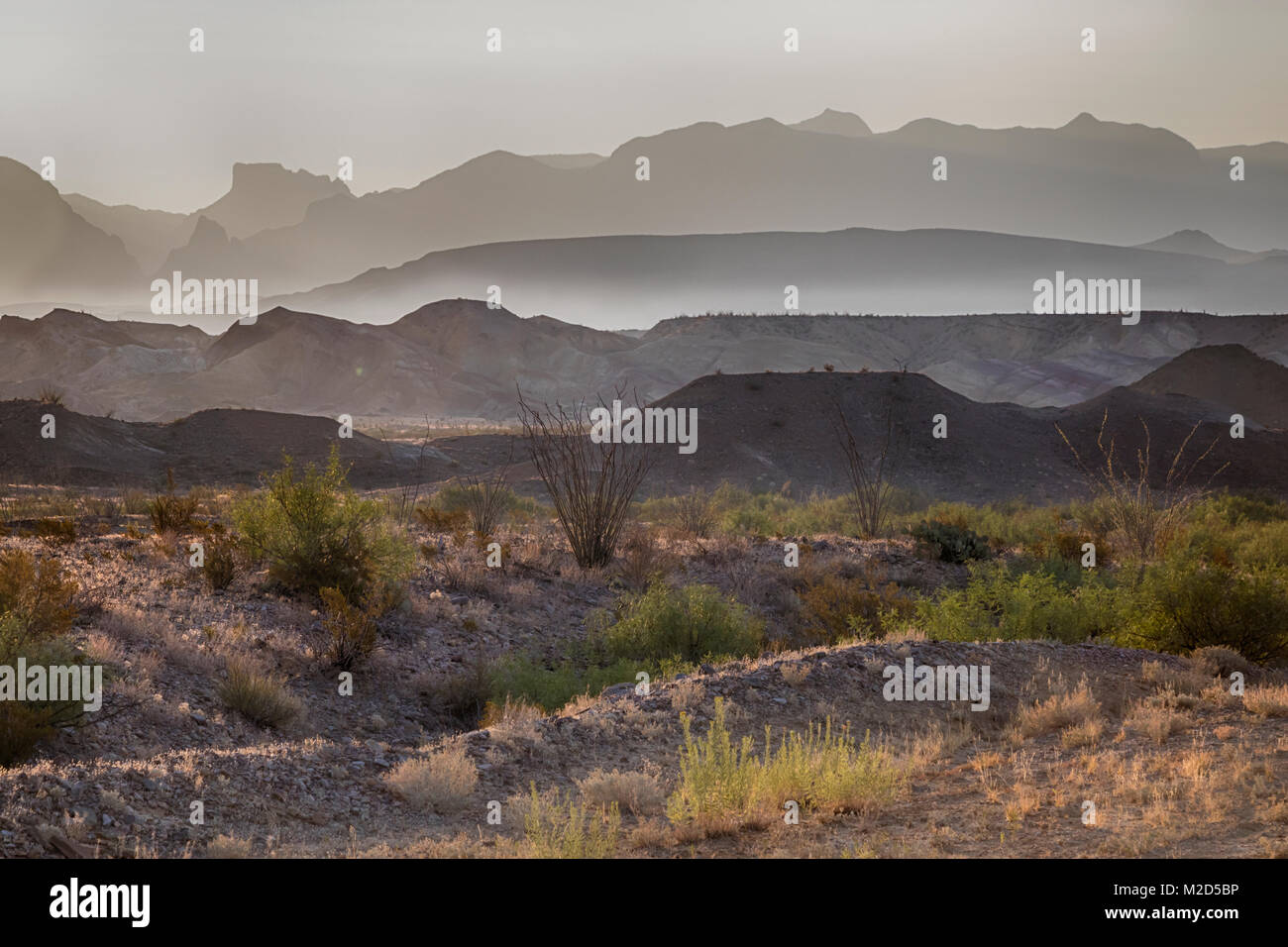 Big Bend Nationalpark, Texas Stockfoto