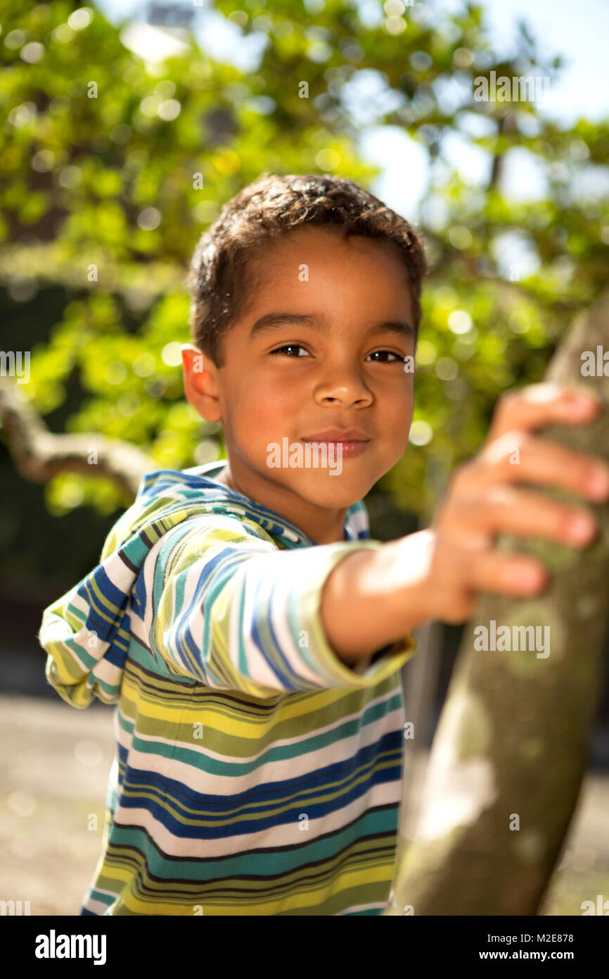 Kleiner Junge spielt in einem Baum. Stockfoto
