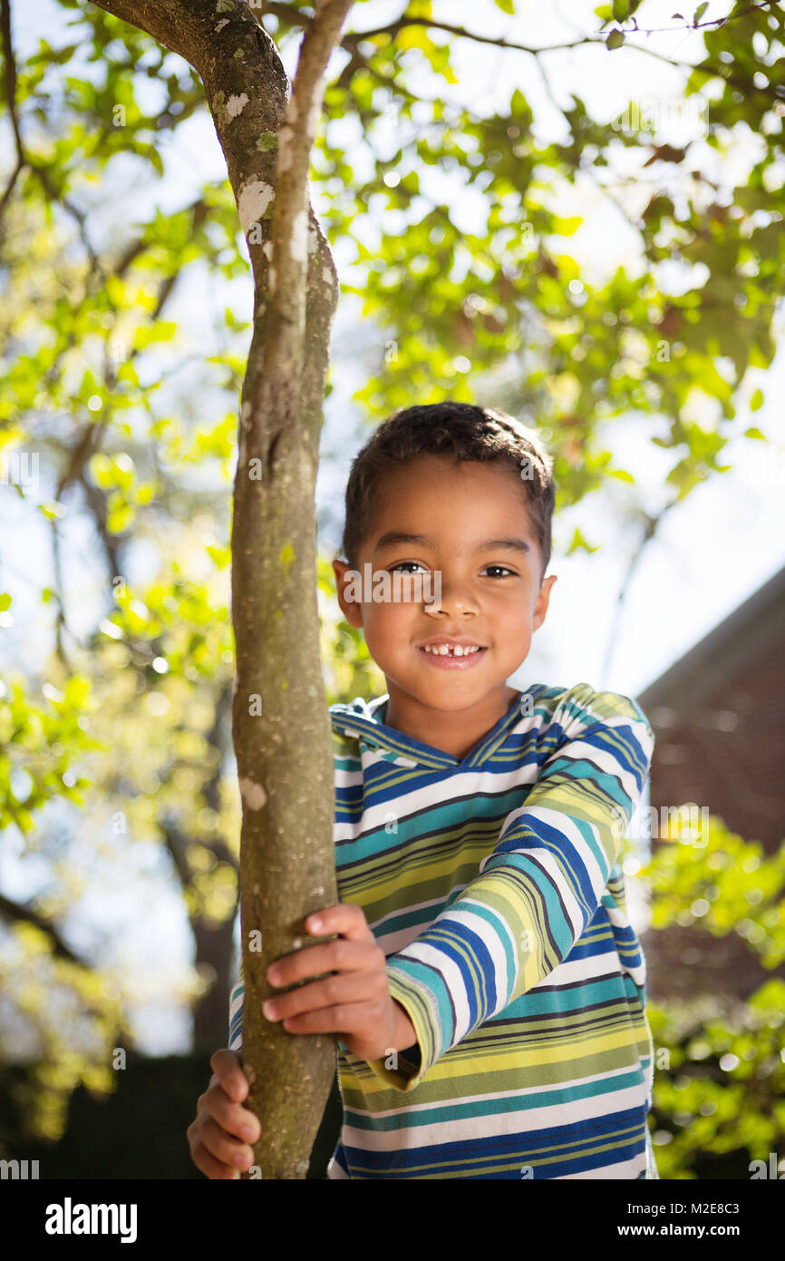 Kleiner Junge spielt in einem Baum. Stockfoto