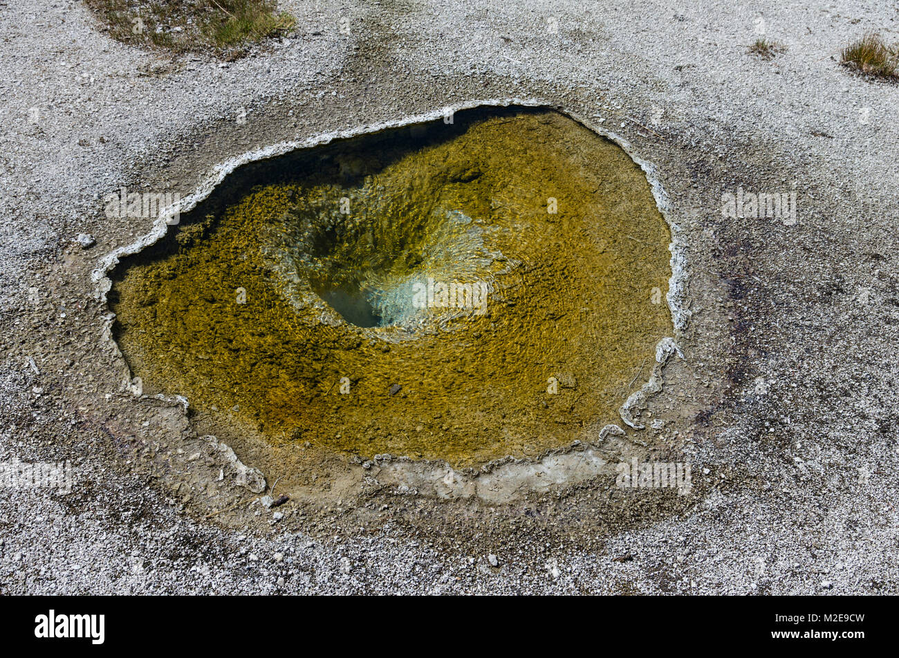 Mutterboden Feder in der Upper Geyser Basin wird durch eine Kruste von geyserite begrenzt. Yellowstone National Park, Wyoming, USA Stockfoto