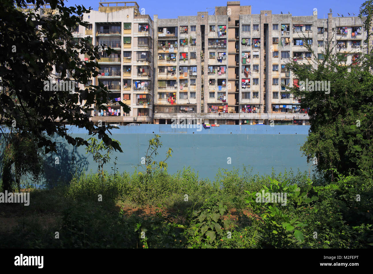 Mumbai, Maharashtra. 2 Feb, 2018. 02 Feb 2018, SGNP - Mumbai, Indien. Menschliche Siedlungen haben direkt vor dem Sanjay Gandhi National Park (SGNP), ist der Wald mit vielen Leoparden und wilde Leben eingegriffen. Riesige Mauern errichtet die wilden Tiere im Zaum zu halten. Noch Leoparden sind bekannt in nahe gelegenen Wohnsiedlungen und Aufenthalt in einem Versteck in den schmalen Gassen Fütterung auf Hunde ihr Lieblingsessen zu verirren und in Kontakt mit Menschen, die zu einem Angriff kommen. Kredit: Kredite:/ZUMA Draht/Alamy leben Nachrichten Stockfoto