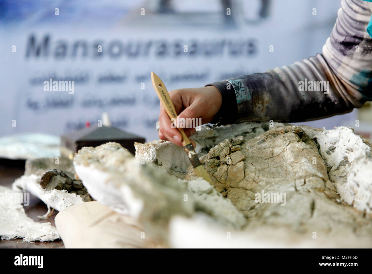 Mansoura, Ägypten. 7 Feb, 2018. Ein Forscher von der Mitte Mansoura University für Wirbeltierpaläontologie (MUVP) arbeitet an der felsigen Fossilien von Mansourasaurus in Mansoura, Ägypten, Jan. 6, 2018. Die ägyptische Entdeckung der Überreste einer alten Dinosaurier in der westlichen Wüste zeigt eine Verbindung zwischen Afrika und Europa in der späten Kreidezeit vor rund 80 Millionen Jahren, sagten Experten, Mittwoch. Credit: Ahmed Gomaa/Xinhua/Alamy leben Nachrichten Stockfoto