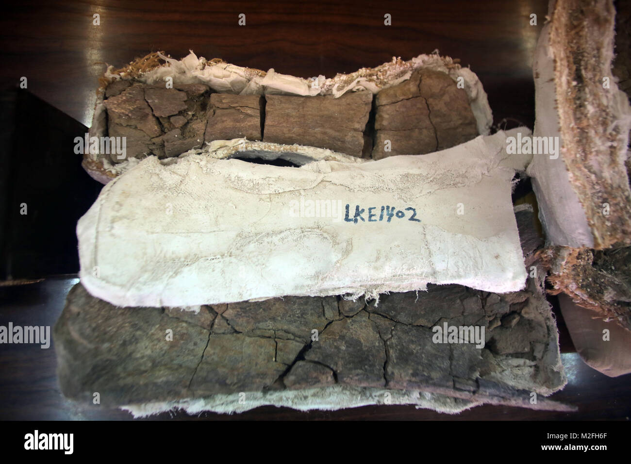 Mansoura, Ägypten. 7 Feb, 2018. Foto auf Feb 6, 2018 zeigt Rocky Fossilien von Mansourasaurus entdeckt von einem Team der ägyptischen Forscher vom Zentrum Mansoura University für Wirbeltierpaläontologie (MUVP) in Mansoura, Ägypten. Die ägyptische Entdeckung der Überreste einer alten Dinosaurier in der westlichen Wüste zeigt eine Verbindung zwischen Afrika und Europa in der späten Kreidezeit vor rund 80 Millionen Jahren, sagten Experten, Mittwoch. Credit: Ahmed Gomaa/Xinhua/Alamy leben Nachrichten Stockfoto