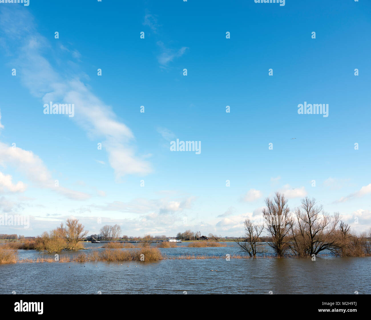 Überschwemmungsgebieten des Flusses Ijssel und Schiff in der Nähe von zalk zwischen Kampen und Zwolle in den Niederlanden Stockfoto