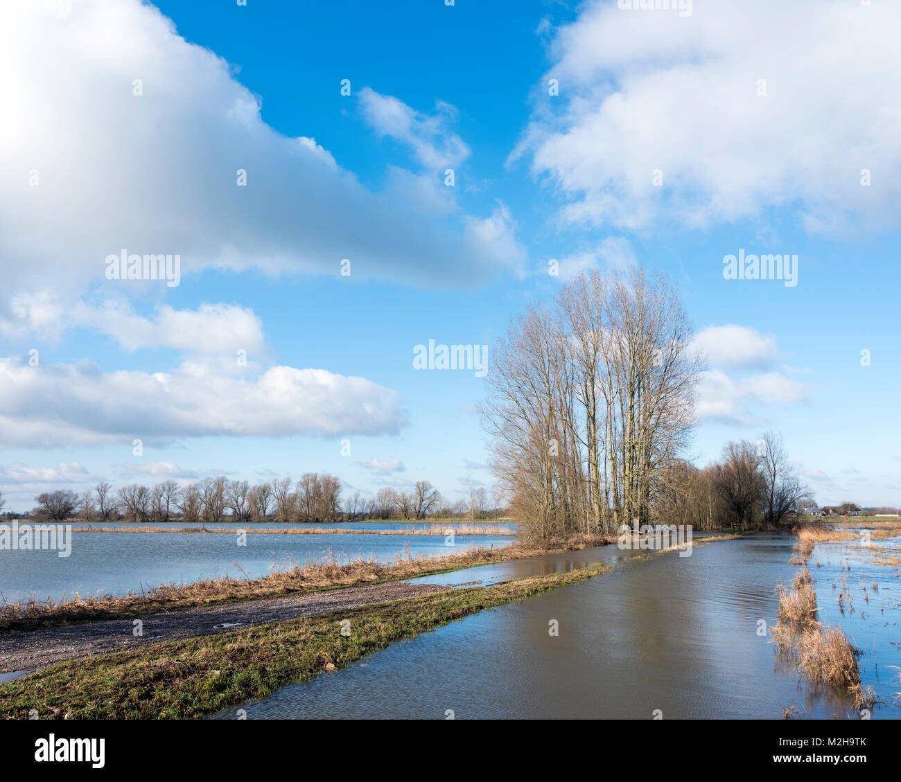 Überschwemmungsgebieten des Flusses Ijssel in der Nähe von zalk zwischen Kampen und Zwolle in den Niederlanden Stockfoto