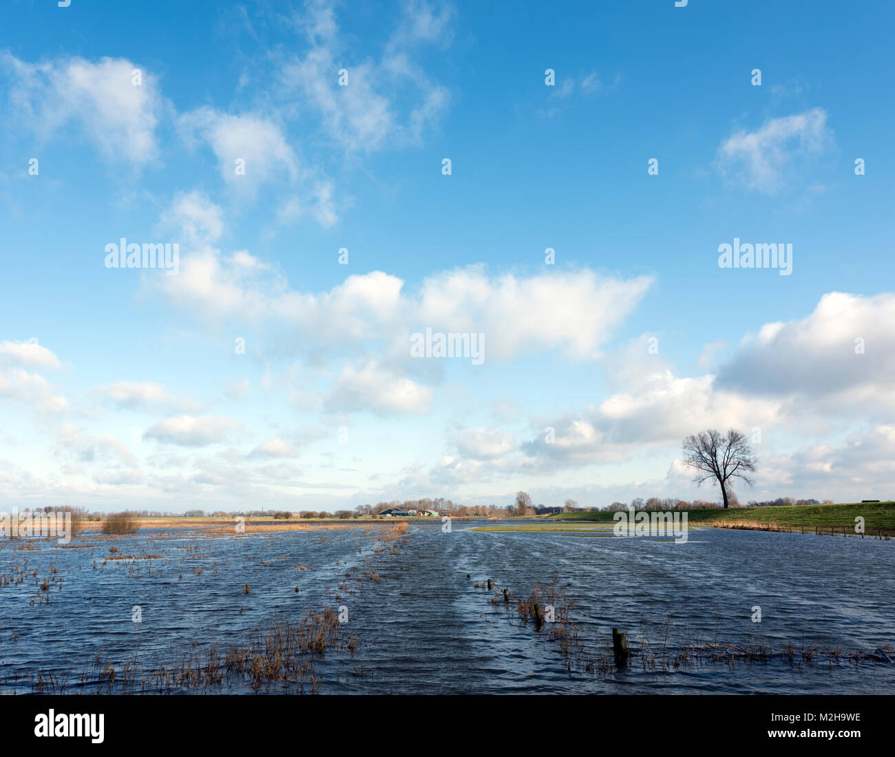 Überschwemmungsgebieten des Flusses Ijssel in der Nähe von zalk zwischen Kampen und Zwolle in den Niederlanden Stockfoto