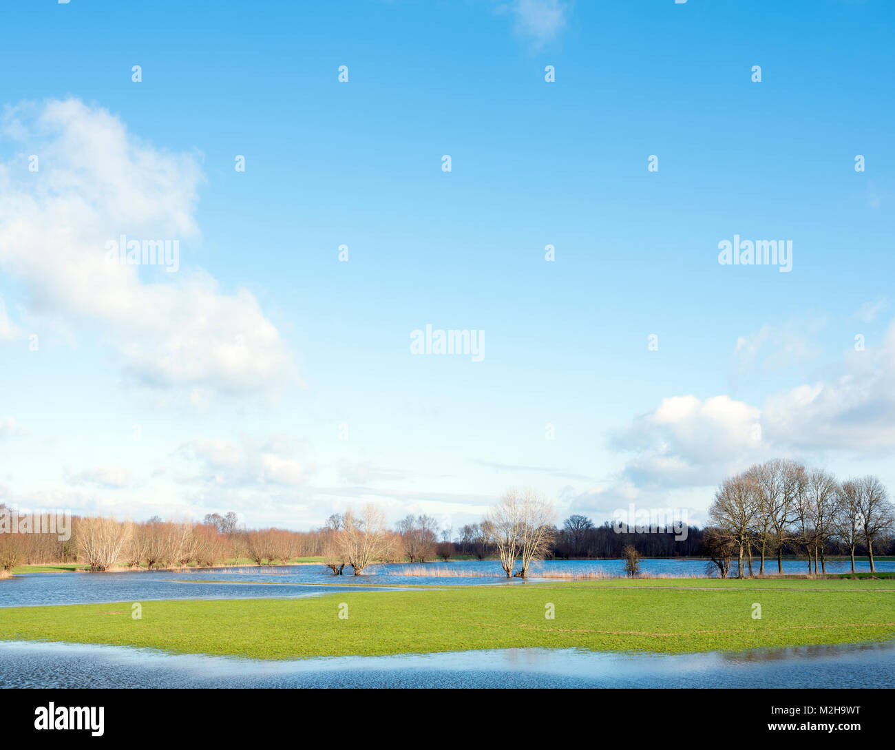 Überschwemmungsgebieten des Flusses Ijssel in der Nähe von zalk zwischen Kampen und Zwolle in den Niederlanden Stockfoto