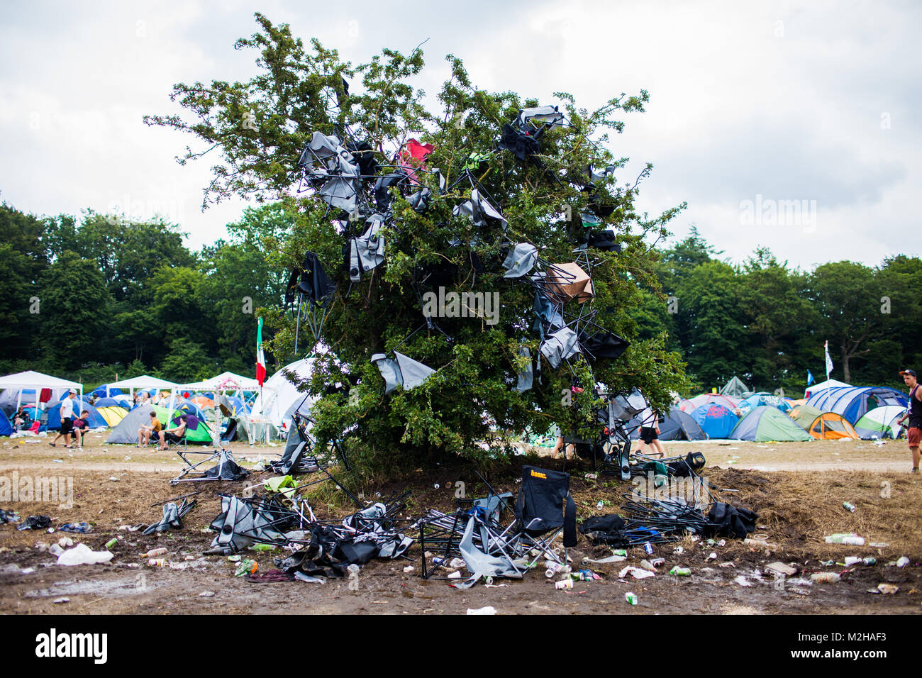 Die Gäste des Festivals haben Sie einen Baum mit Plastikstühlen bombardiert und verwandelte es in einen Stuhl Baum auf dem Campingplatz beim Roskilde Festival. Dänemark 2013. Stockfoto