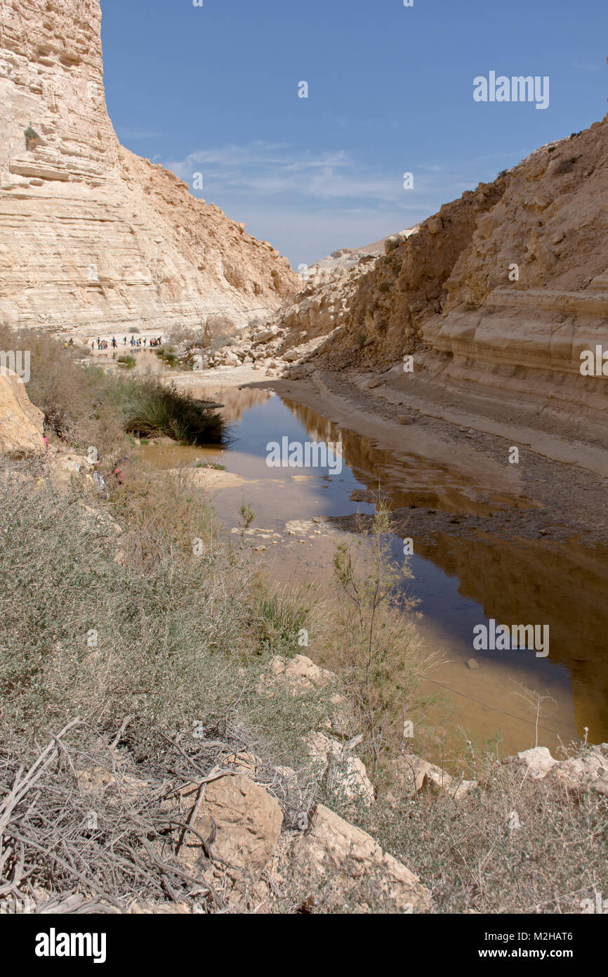 Wanderer in ein avdat Canyon in nahal Zin in der Wüste Negev Stockfoto