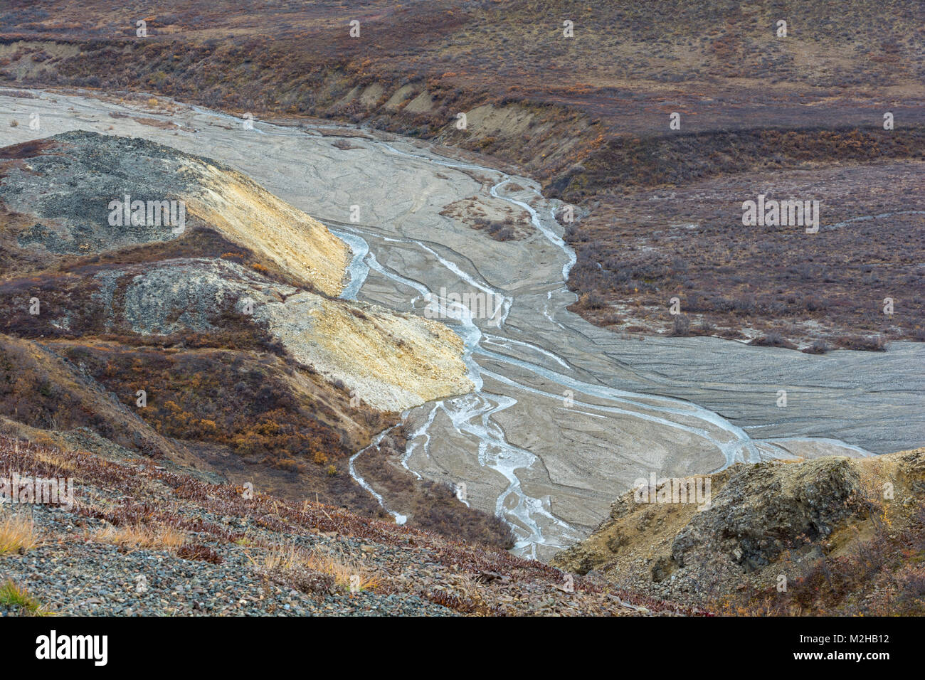 Wasser findet einen Weg durch viele Kanäle einer geflochtenen Wasserscheide, die abutts Eine gelbe Felsvorsprung im Denali Nationalpark. Stockfoto