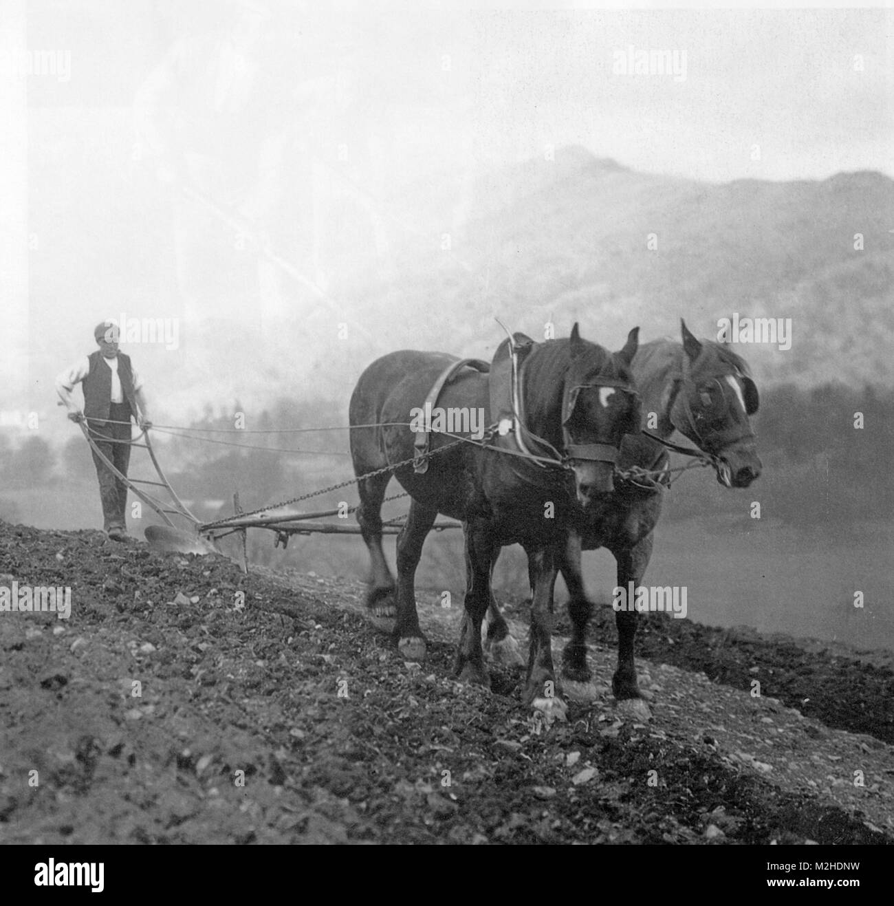 Von Pferden gezogene Pflug irgendwo in England über 1925 Stockfoto