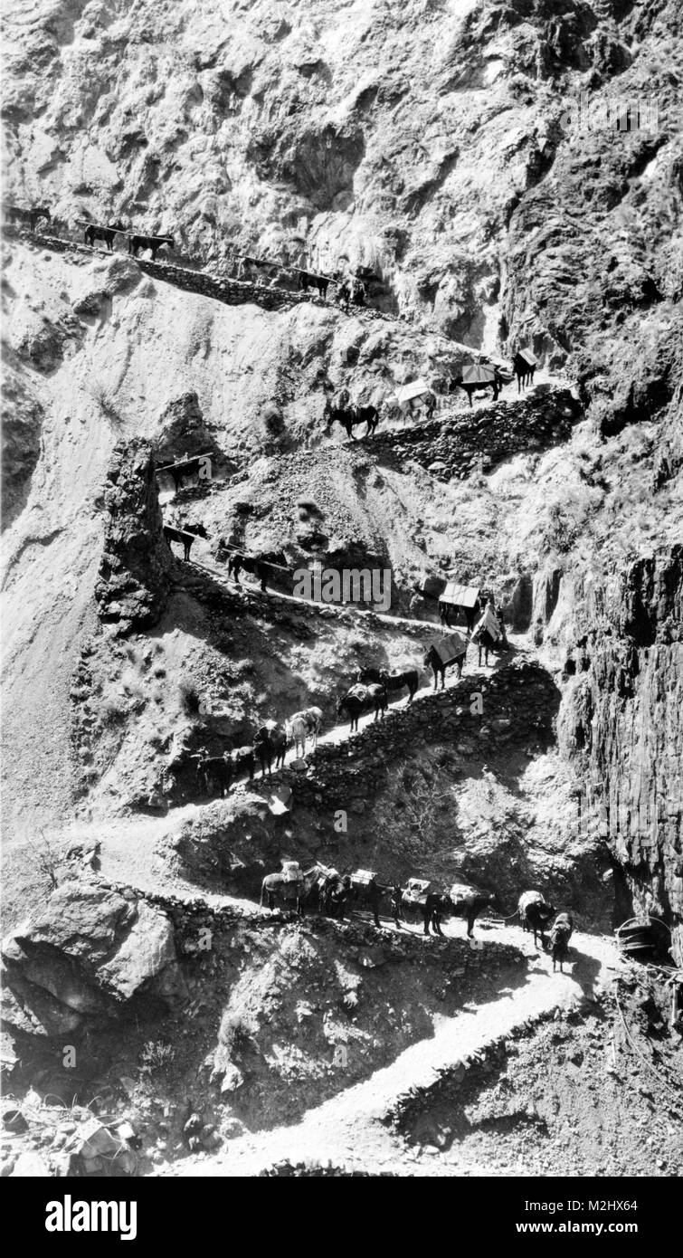 Pack Zug, 20. Jahrhundert Stockfoto