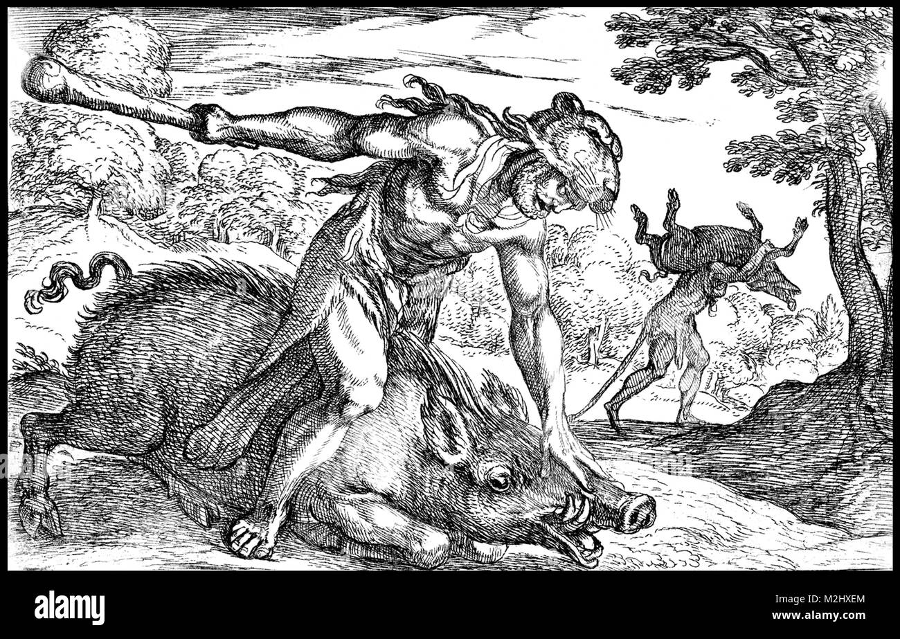 Arbeiten des Herkules, erfassen Sie das Erymanthian Boar Stockfoto