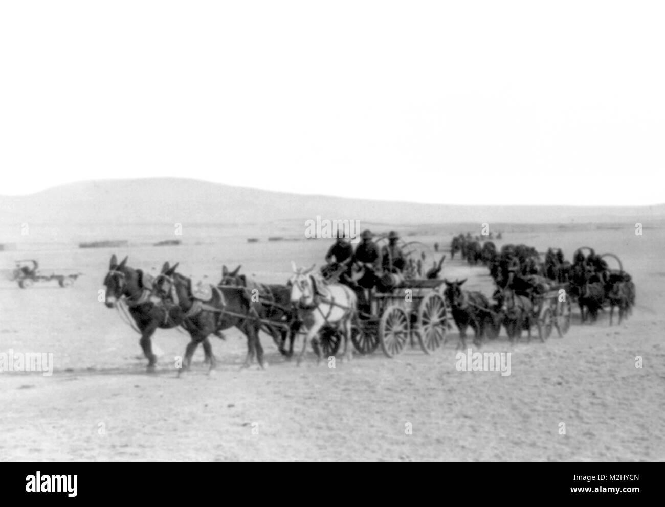Pancho Villa Expedition, 6 Infanterie Wagon Train, 1916 Stockfoto