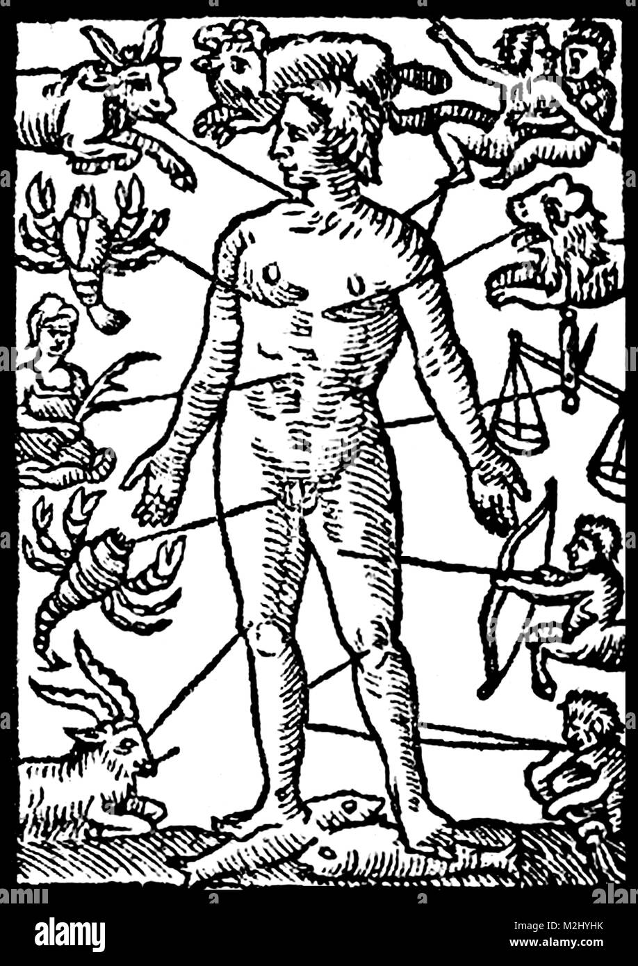 Sternzeichen Mann, Medizinische Astrologie, 1609 Stockfoto