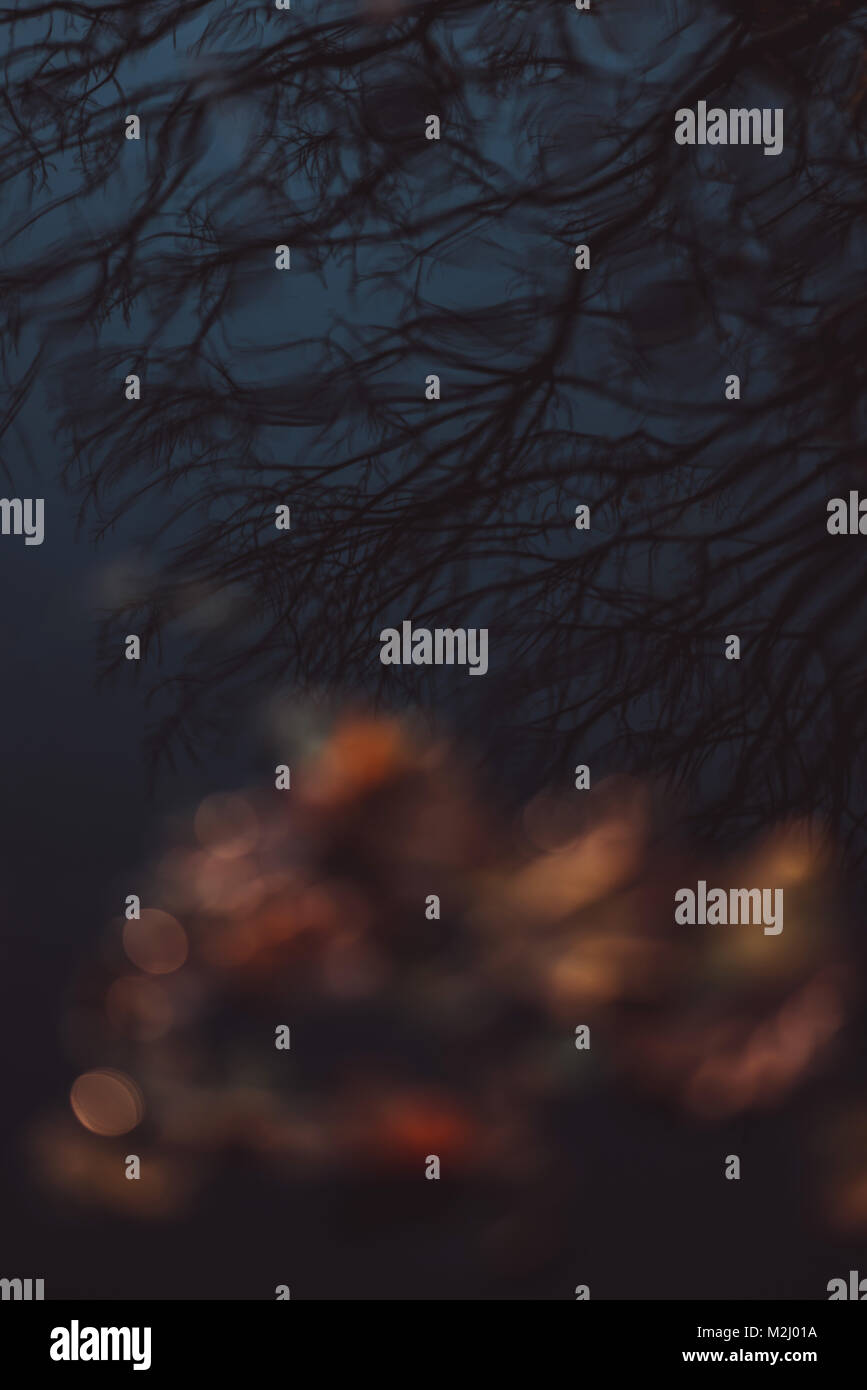 Herbst Herbst Reflexionen im Wasser machen für Moody Abstract background. Stockfoto