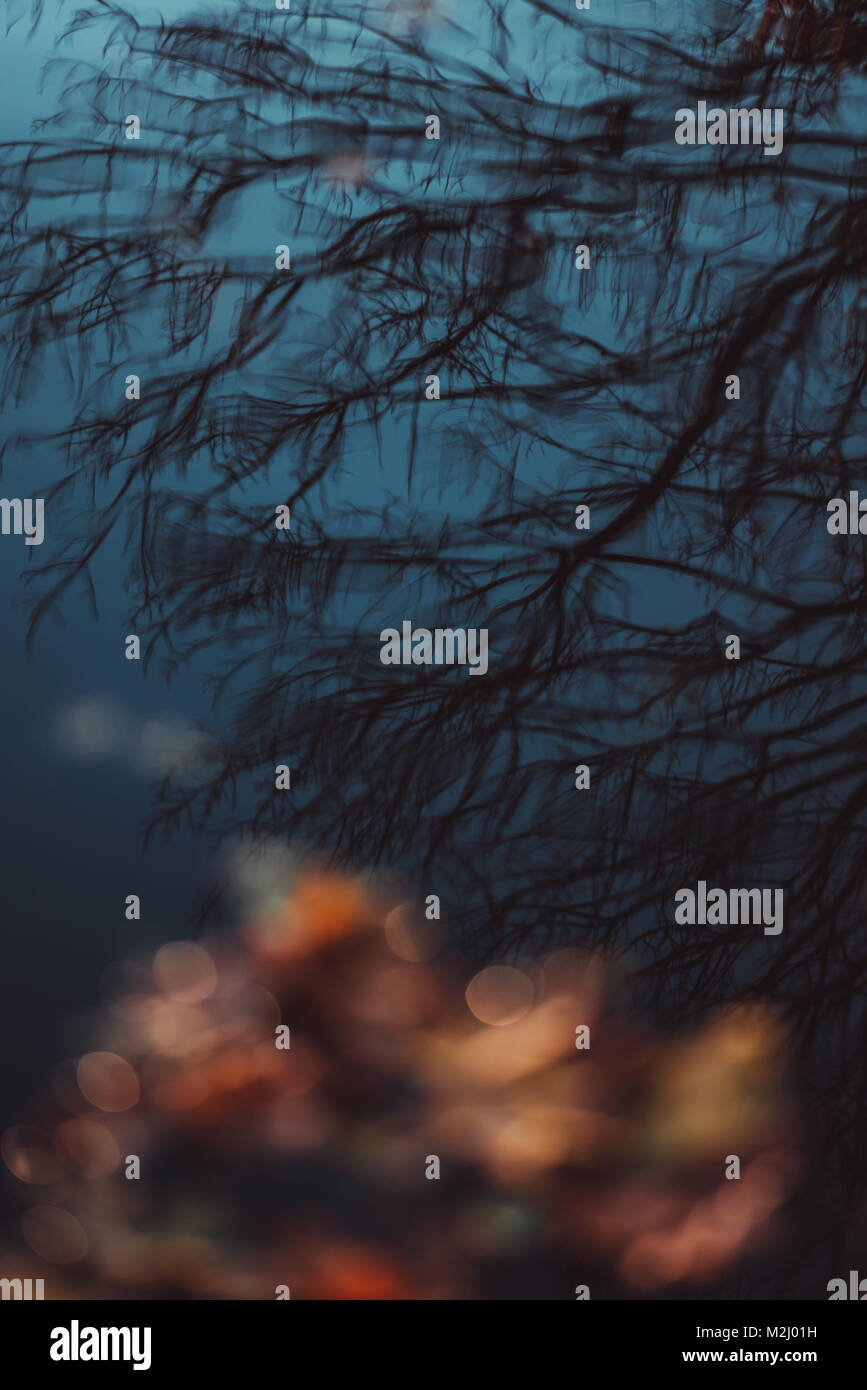 Herbst Herbst Reflexionen im Wasser machen für Moody Abstract background. Stockfoto