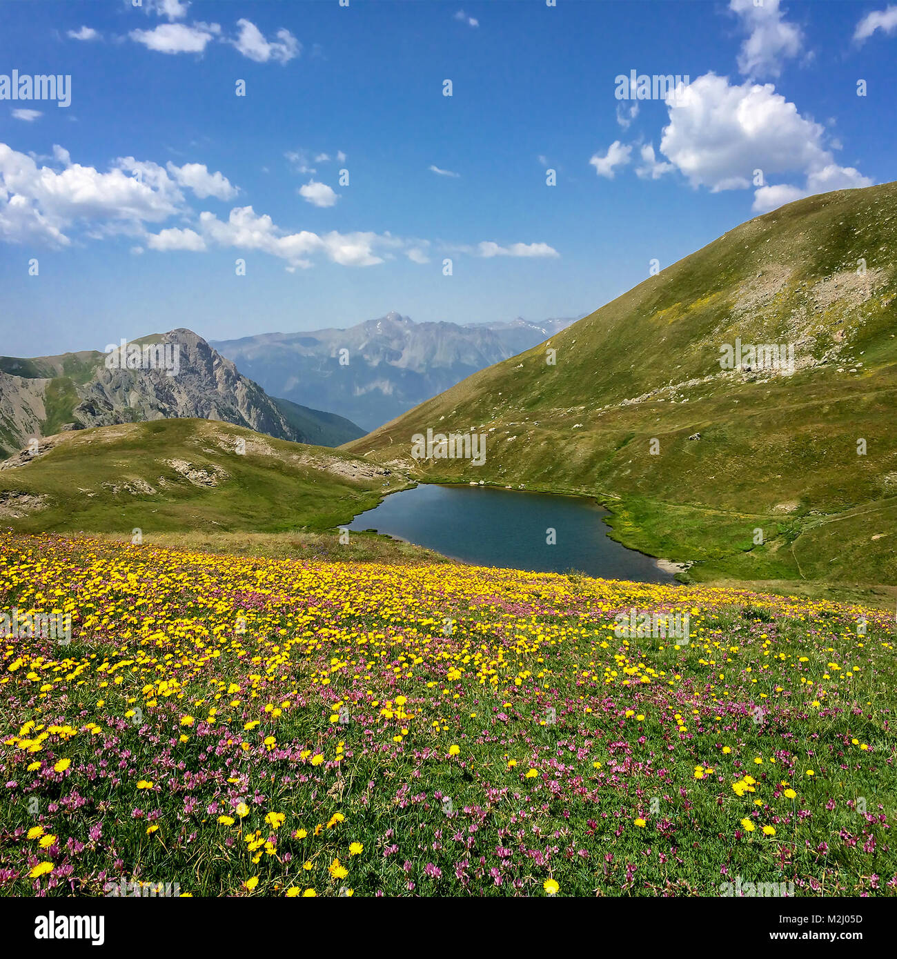 Neal See mit Blumen im Vordergrund, Queyras, die Alpen, Frankreich Stockfoto