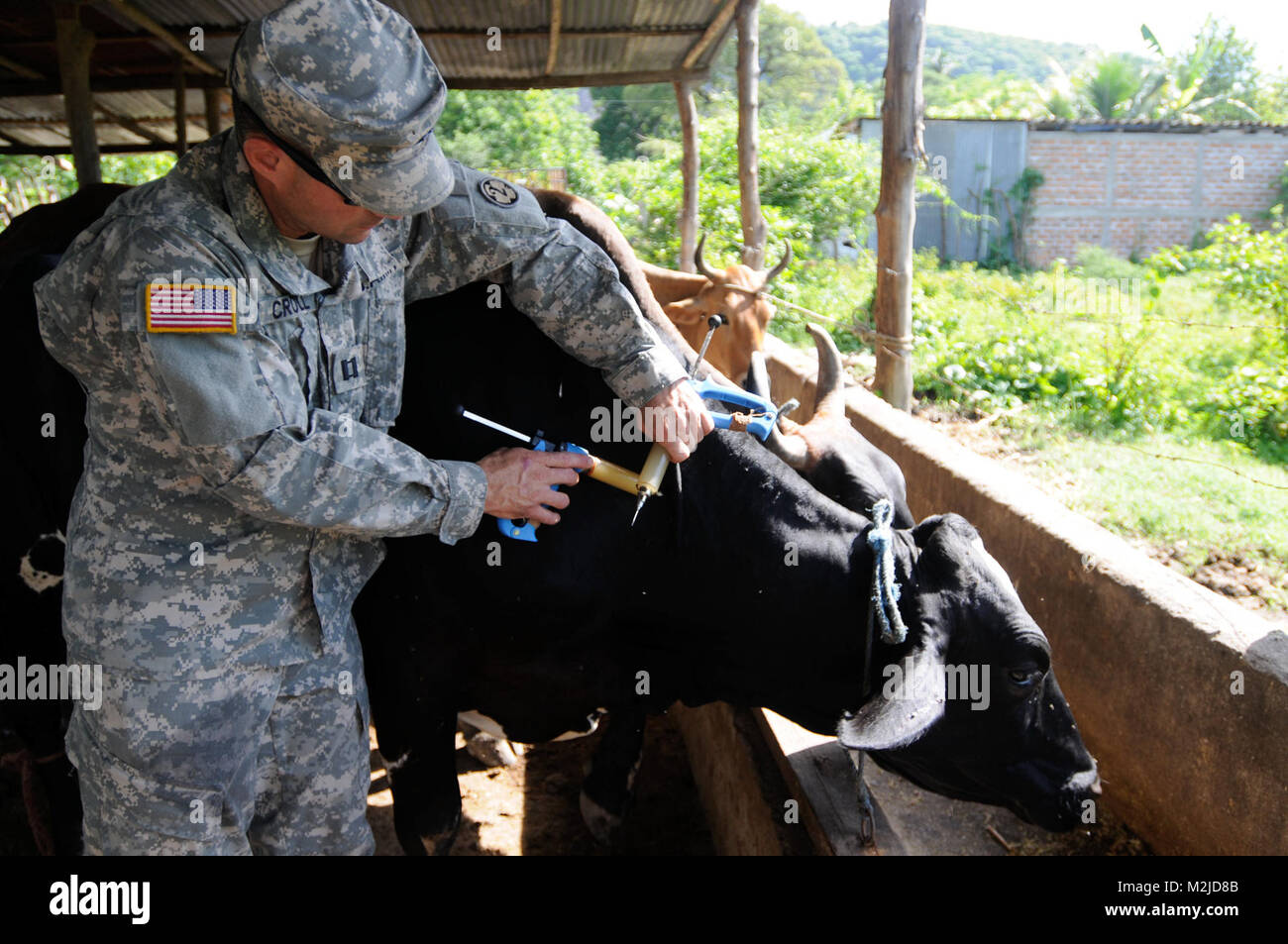 Kapitän Dan Crowell von Lamoille, Nev impft eine Kuh in El Salvador. Die 993Rd Medical Detachment (Veterinärdienste) trat der 349 Combat Support Hospital für zwei Woche medizinische Mission in El Salvador. - Foto: Staff Sgt. Kristen König 349 MEDRETE in San Vicente (44 von 88) 807 MCDS Stockfoto