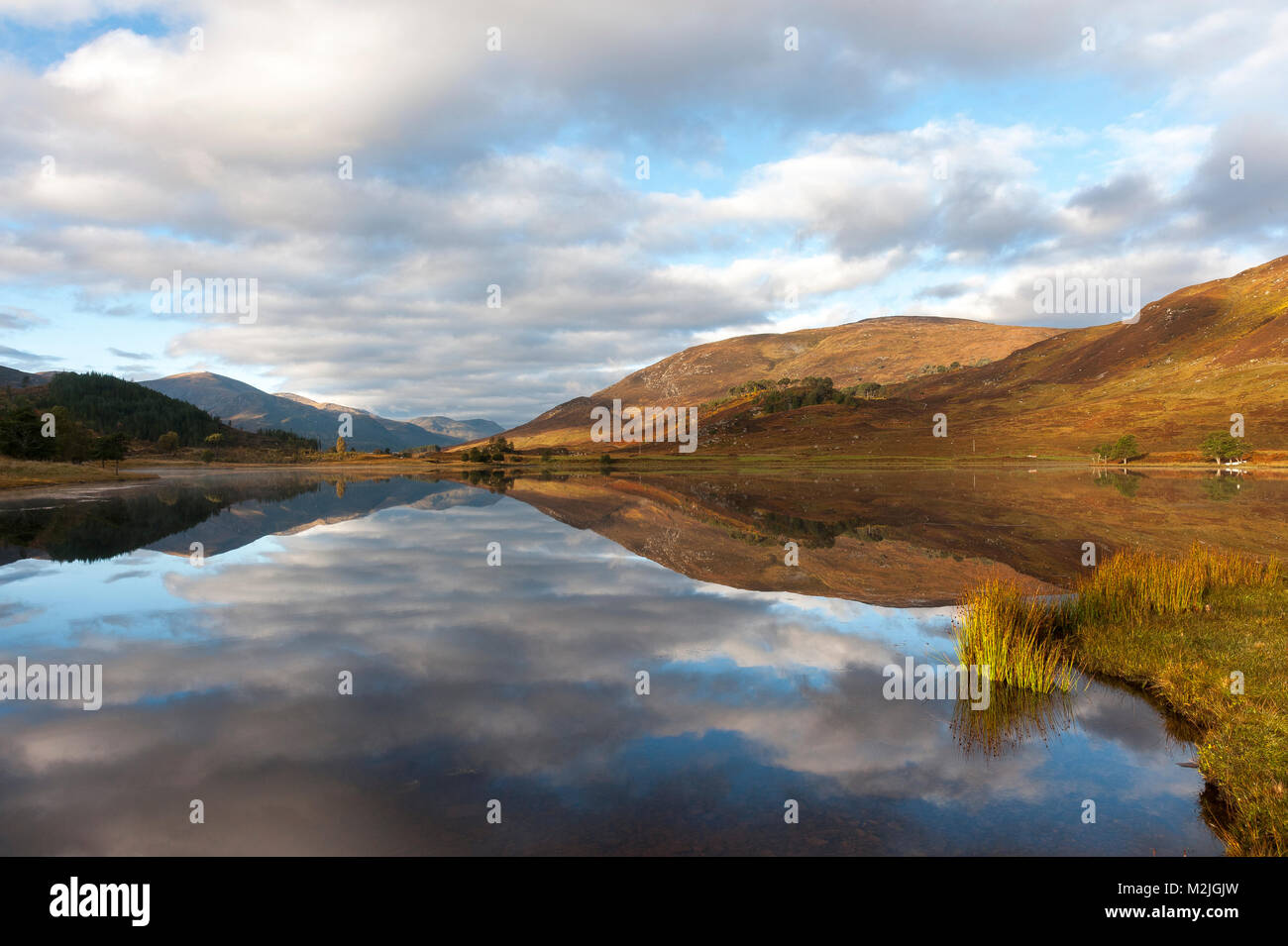 Glen Cannich, Strathglass, Schottland in das Hochland von Schottland, Stockfoto