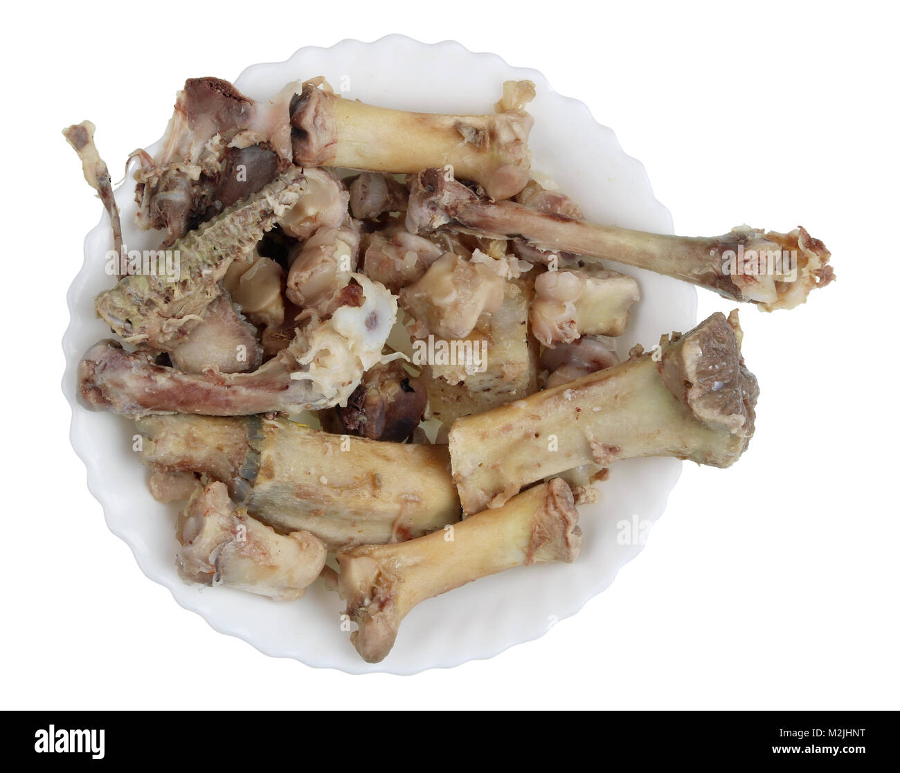 Gekochtes Rindfleisch und Schweinefleisch Knochen mit Fleisch - das ist die  beste Ernährung für den Hund. Auf weiß Top View Studio shot Isoliert  Stockfotografie - Alamy