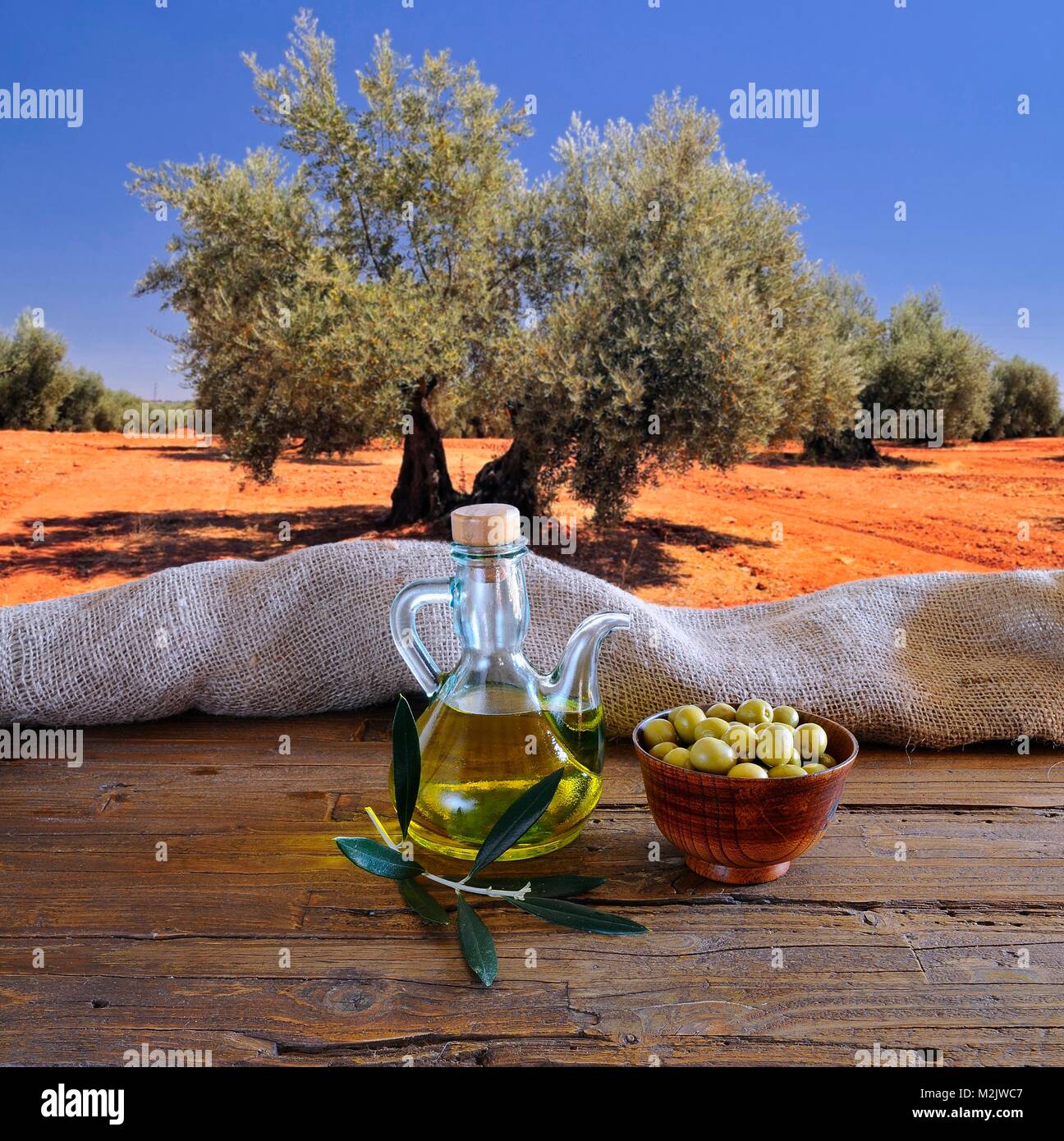Olivenöl auf eine Tabelle in den Olivenhain. Stockfoto